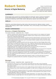 Director Of Digital Marketing Resume Samples Qwikresume