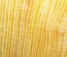 Osage orange lumber