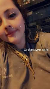 Od pastel dh clown pied male and female matrix blood python tame pickup in  delafield