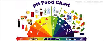 alkaline body vs an acidic body whats best for your health