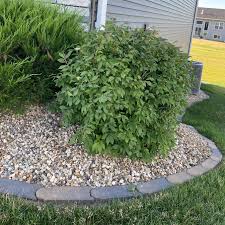 This double barrier garden bed edging will stop crawling grasses like bermuda from entering your gardens. Bullet Edgers King S Material