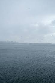 Image result for Ocean Mist 1972 Hussmann