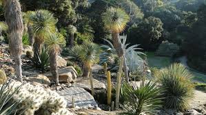 Voyage Exotique Dans Les Jardins Du Rayol Jardin Exotique Jardin Mediterraneen Jardins