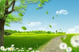 We did not find results for: Unduh 1040 Background Indah Hd Terbaru Download Background