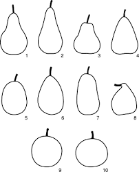 Pears An Overview Sciencedirect Topics