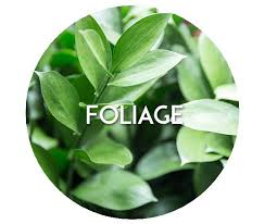 This business listing is provided by United Wholesale Flowers