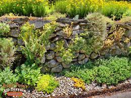 Intrusive igneous rocks crystallize below earth's surface, and the slow cooling that occurs there allows large it has a composition that is intermediate between rhyolite and andesite. Stepables Com Plants That Tolerate Foot Traffic