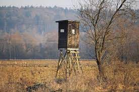 These houses provide a comfortable means of stand hunting for deer and even turkeys. How To Build An Inexpensive Hunting Blind Whitetail Properties