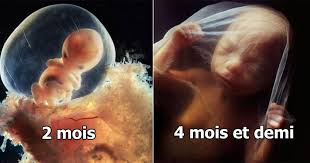 A chaque fois j'ai des doutes demi ou demie? Epingle Sur Conscience