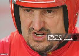 1,259 Hackl Stock Photos, High-Res Pictures, and Images