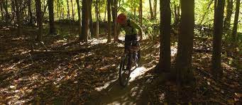 Bennington Area Trail System Bats Trail Finder