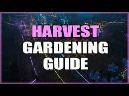 Beginner guides for path of exile. Path Of Exile Harvest Gardening Guide For Confused Exiles Youtube