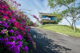 Maybe you would like to learn more about one of these? 19264 Extraordinary Architectural Residence For Sale In Escazu Villa Tugendstad In Santa Ana Costa Rica