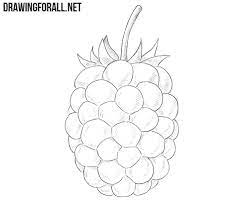 How To Draw A Blackberry