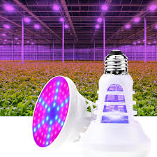 Led Plant Growth Light Cup E27 Purple Light Insecticidal Lamp 110v220v Full Spectrum Mode Usb Plant Light Indoor Grow Light Indoor Growing Equipment From Weiguangshu01 14 69 Dhgate Com