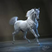 Image result for tbn:tVj6rqcH-AQR9M::www.pregonagropecuario.com.ar/images/caballo_overo.jpg