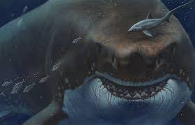 The purported megalodon tooth is also a glossy black, compared to a dull white—further evidence of its incredibly advanced age. Could An Ancient Megashark Still Lurk In The Deep Seas Popular Science