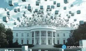 Trump's team vets for first White House crypto role