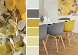 Farbe Ocker Kombinieren Goldocker Farbe Des Jahres 2016 Im Interieur Wandfarbe Wohnzimmer Wohnzimmerfarben Wohnzimmer Dekor