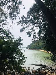 The summit provides for a panoramic 25.02.2021 · also not to be confused with bukit batu putih in melaka which is also short, easy and has epic views, but of the port dickson coastline. Standard Twins Room Picture Of Port Dickson Negeri Sembilan Tripadvisor