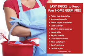 Dust in your home won't really hurt your home, it's just kind of dusty. 12 Easy Tricks To Keep Your Home Germ Free And Sanitized Servicesutra