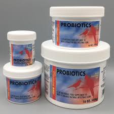 Morning Bird Probiotic Re Establish Normal Gut Flora Fab Finches Uk