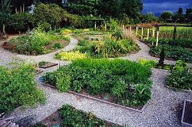 Plants backyard garden vertical herb garden garden design vertical garden diy hanging planters herbs veggie garden pallet garden. Herb Garden Design