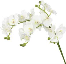 Real or fake flowers for wedding centerpieces. Buy Rinlong Artificial Orchid Silk Orchids White Orchid Artificial Flowers Real Touch Fake Phalaenopsis Cymbidium Stem For Table Centerpiece Home Kitchen Wedding Party Decoration Online In Turkey B07xq91j2v
