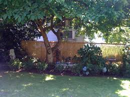 These privacy slats come in multiple colors. Reed Fencing Covers Ugly Chain Link Gardening In My Rubber Boots