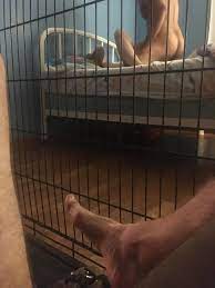 Dog cage and chastity while someone fucks my wife : r/Cuckold