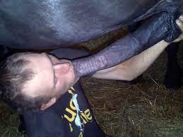 Horse suck man cock ❤️ Best adult photos at comics.theothertentacle.com