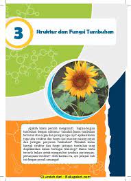 Tropisme positif = gerak tumbuhan mendekati arah rangsang. Struktur Dan Fungsi Tumbuhan