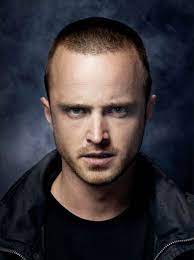 Pin By Sarah Ziemann On Tv Obsession Breaking Bad Seasons Cool Photos Cool Pictures