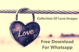 Best whatsapp dp (display profile ) of every category like love, dp for girl, funny, hindi quotations. Love Images Download For Whatsapp Download Whatsapp Love Dp Images