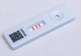 Probably the most well known examples of lateral flow tests are home pregnancy tests. What Is A Lateral Flow Test And How Does The Technology Work