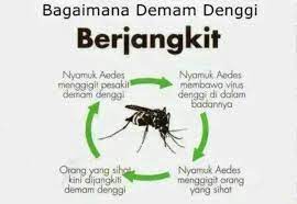 Berikut adalah beberapa cara untuk melakukannya. Tanda Tanda Dan Gejala Demam Denggi Cute And Beauty