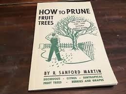 How to prune a fruit tree. How To Prune Fruit Trees Twentieth Edition By R Sanford Martin Ebay