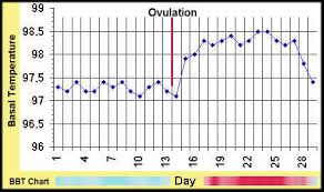 how to predict ovulation date with the help of basil thermometer