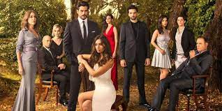 In this series he played a lead role 'can' opposite to demet ozdemir. Best Turkish Tv Series Of 2017 Best Lists Turkish Tv Series Drama