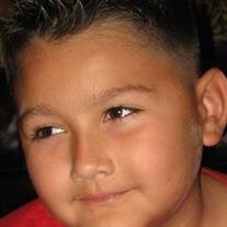 Nikolas Xavier Solis Obituary