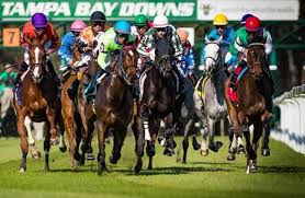 The 1/30/13 opener at tampa may be one of the worst races i have ever seen. Tampa Bay Downs Ups Purses 10 Due To Increase In Business