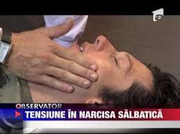 Narcisa salbatica istoria narcisei si a lui tudor.partea 1 episoadele 1 si 2 20.09.2010. Xfutrtyjviytom
