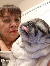 My brothers want to play with Busy Bee