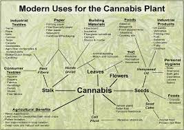 In the 18th century, a hemp shirt. Characteristics Of Hemp Oecotextiles
