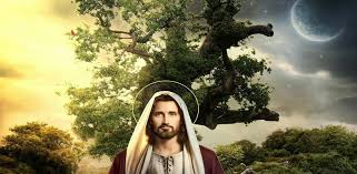 Jesus christ wallpaper, cross, faith, god, clouds, sun, light. Jesus 4k Hd Wallpaper Amazon De Apps Fur Android