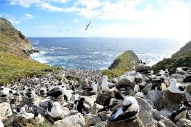 Busca entre las fotos de stock e imágenes libres de derechos sobre islas malvinas de istock. Fotos De Islas Malvinas Imagenes De Islas Malvinas America Del Sur Tripadvisor