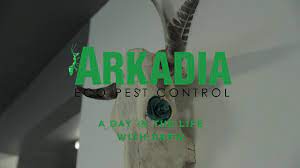 Upon waking and before getting up, we should feel incredibly happy and grateful that we're still alive, ready to face a new day. A Day In The Life Arkadia Pest Control Technician Youtube