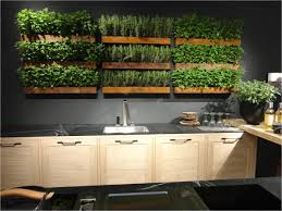 Ideas For Designing Indoor Gardens Indoor Gardens Herb Garden In Kitchen Indoor Herb Garden