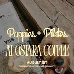Puppies + Pilates