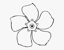 This template contains various shapes of petals that can be used by any designers or those who have business shops related to invitation cards and craft decorations. Flower Petal Template For Kids Mothers Day Flowers Drawing Hd Png Download Kindpng
